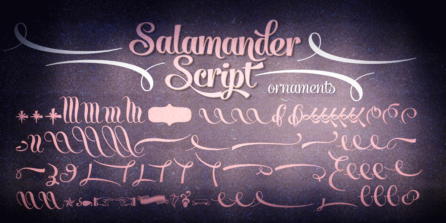 Example font Salamander #3